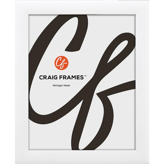 Craig Frames Contemporary White Satin Picture Frame
